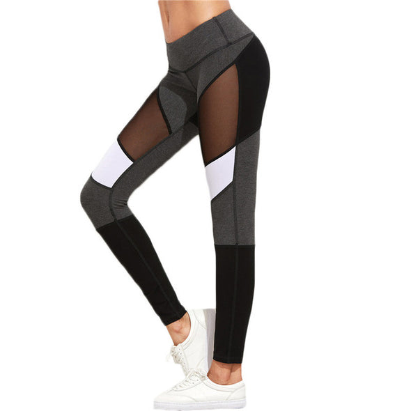 Mesh Women Fitness / Workout Leggings Color Block